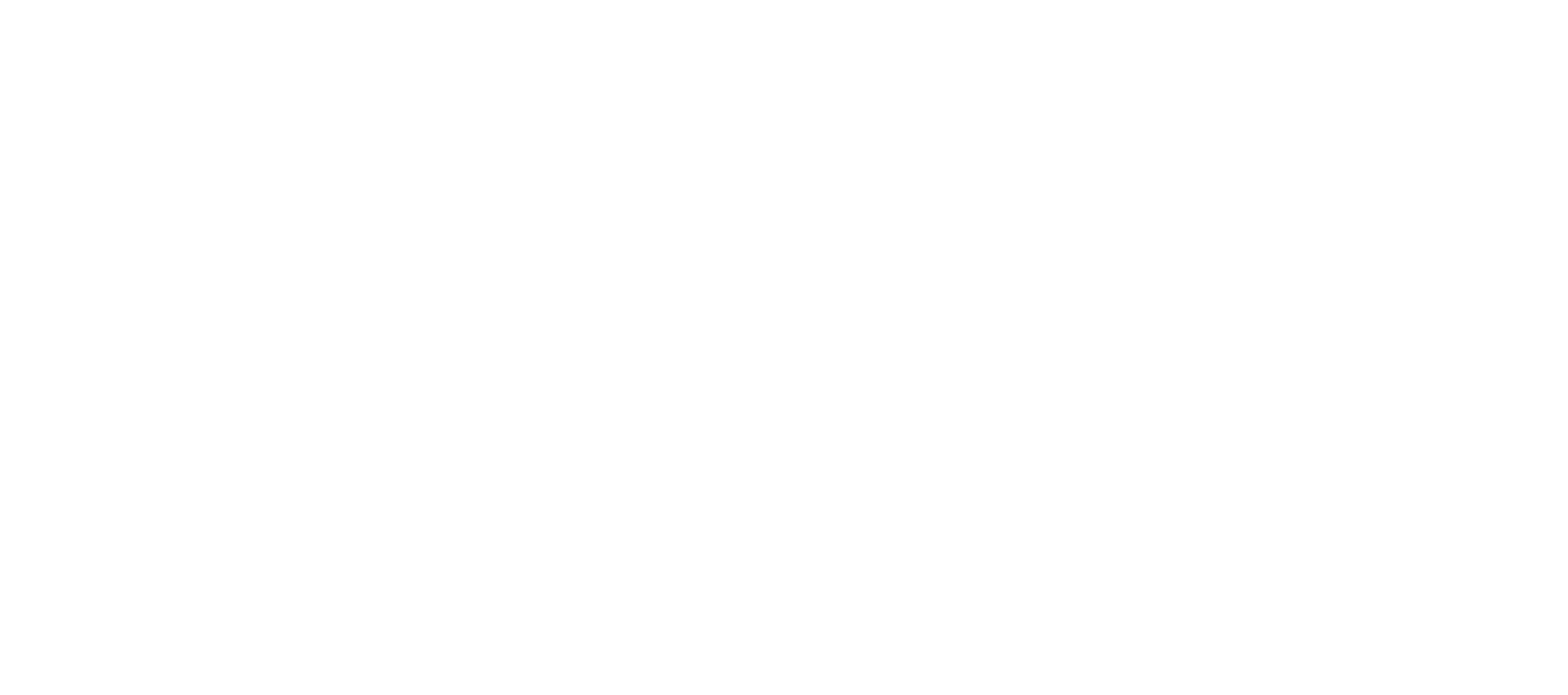 01_LOGO VDE-01blanco